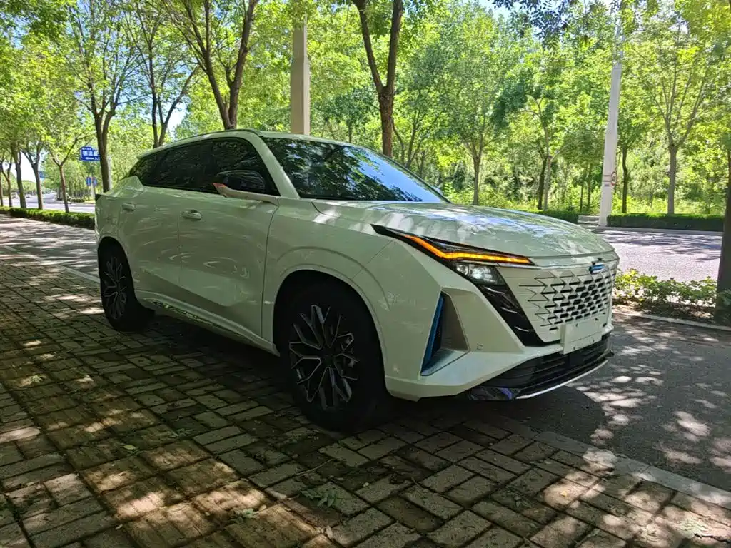 Oshan Oushang Z6 New Energy — миниатюра 4
