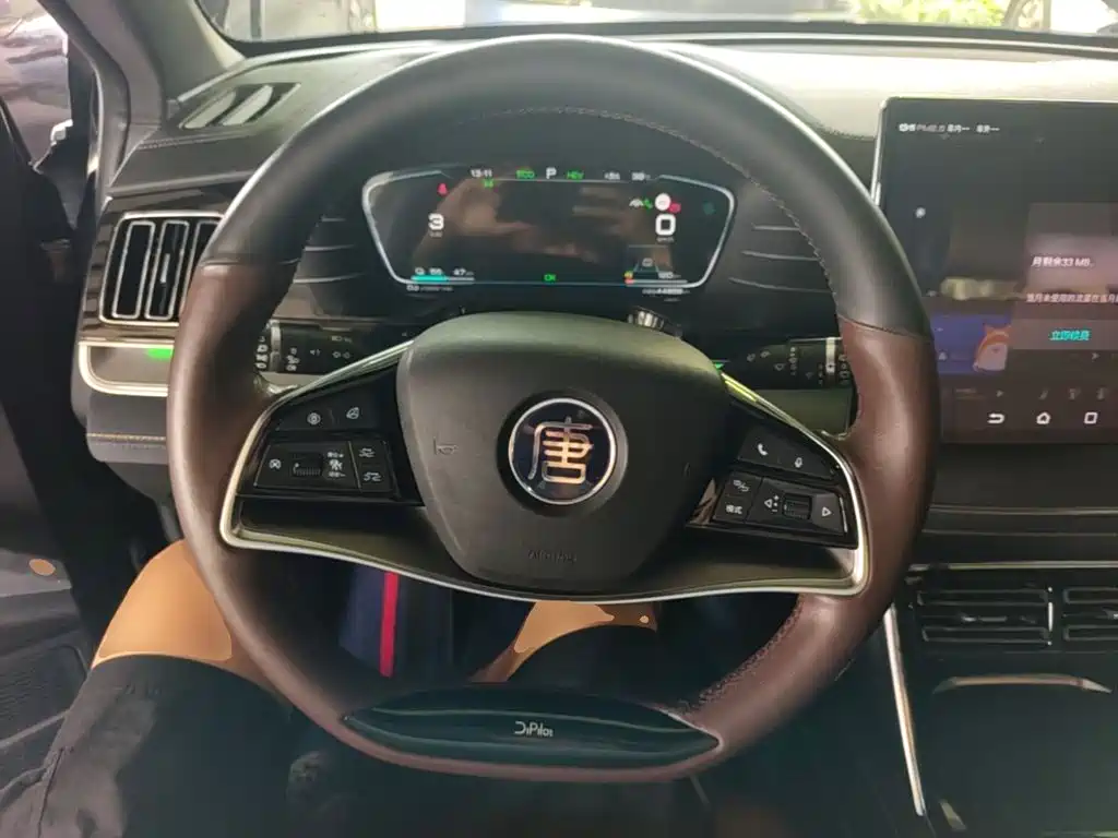 BYD Tang New Energy — миниатюра 11