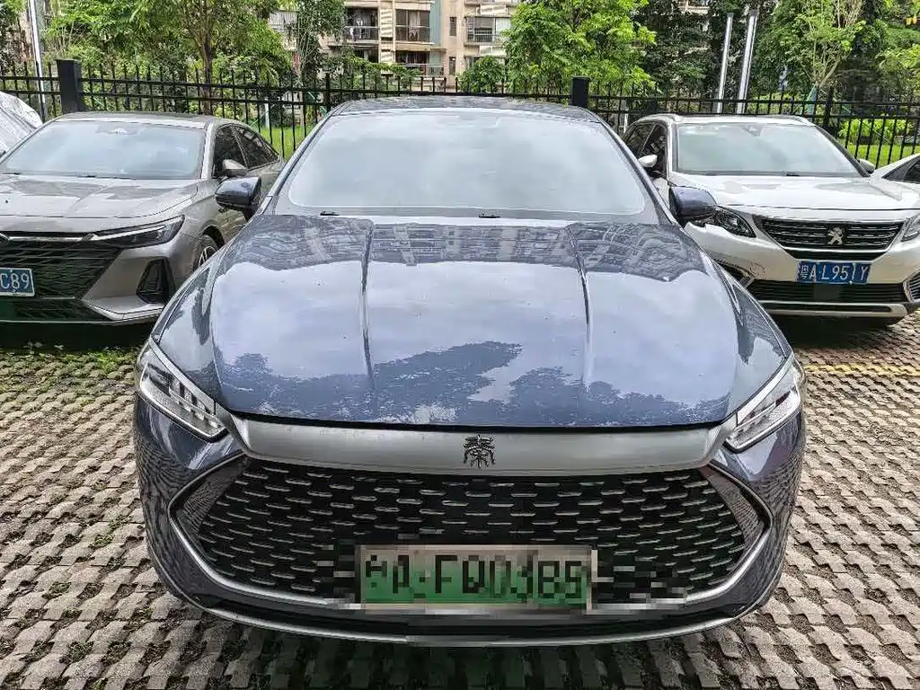 Byd Qin PLUS 2024