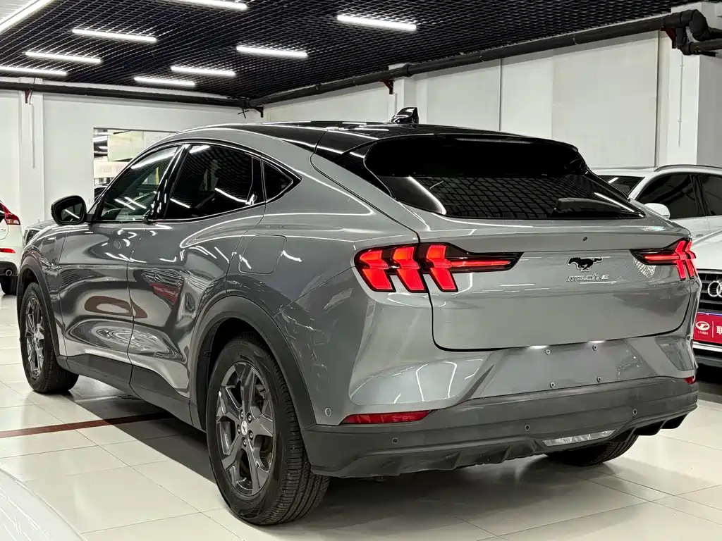 Ford Mustang Mach-E — миниатюра 3