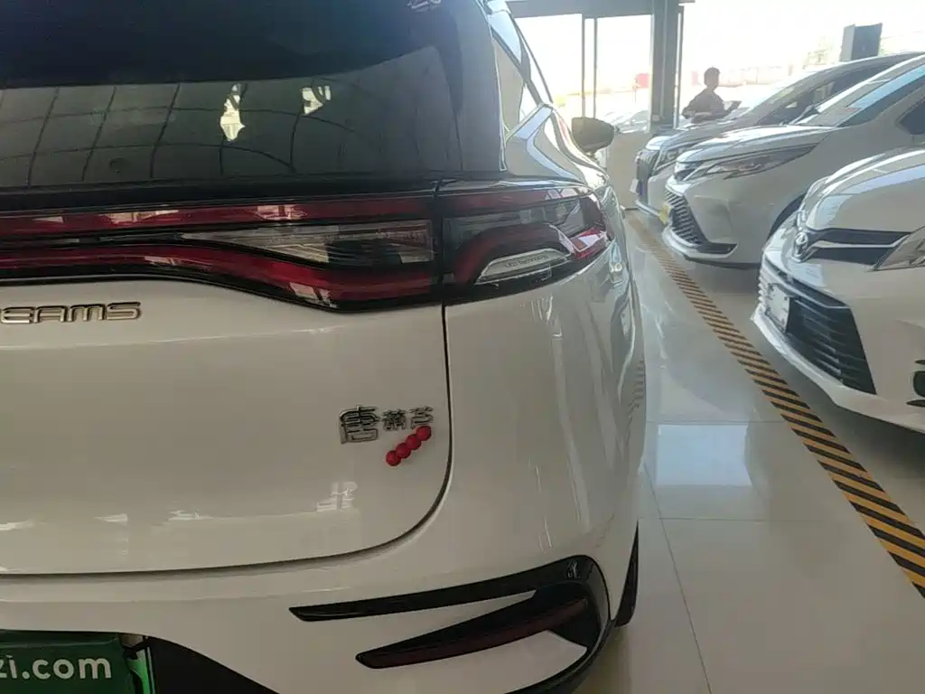 BYD Tang New Energy — миниатюра 8