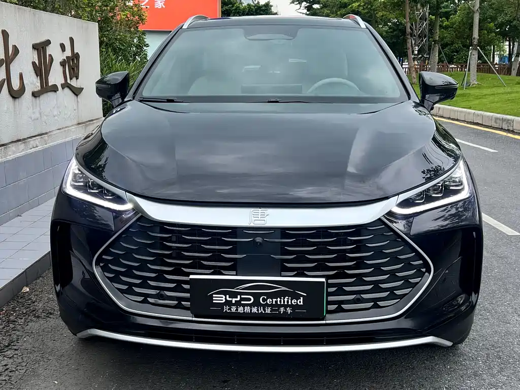 BYD Tang New Energy — миниатюра 2
