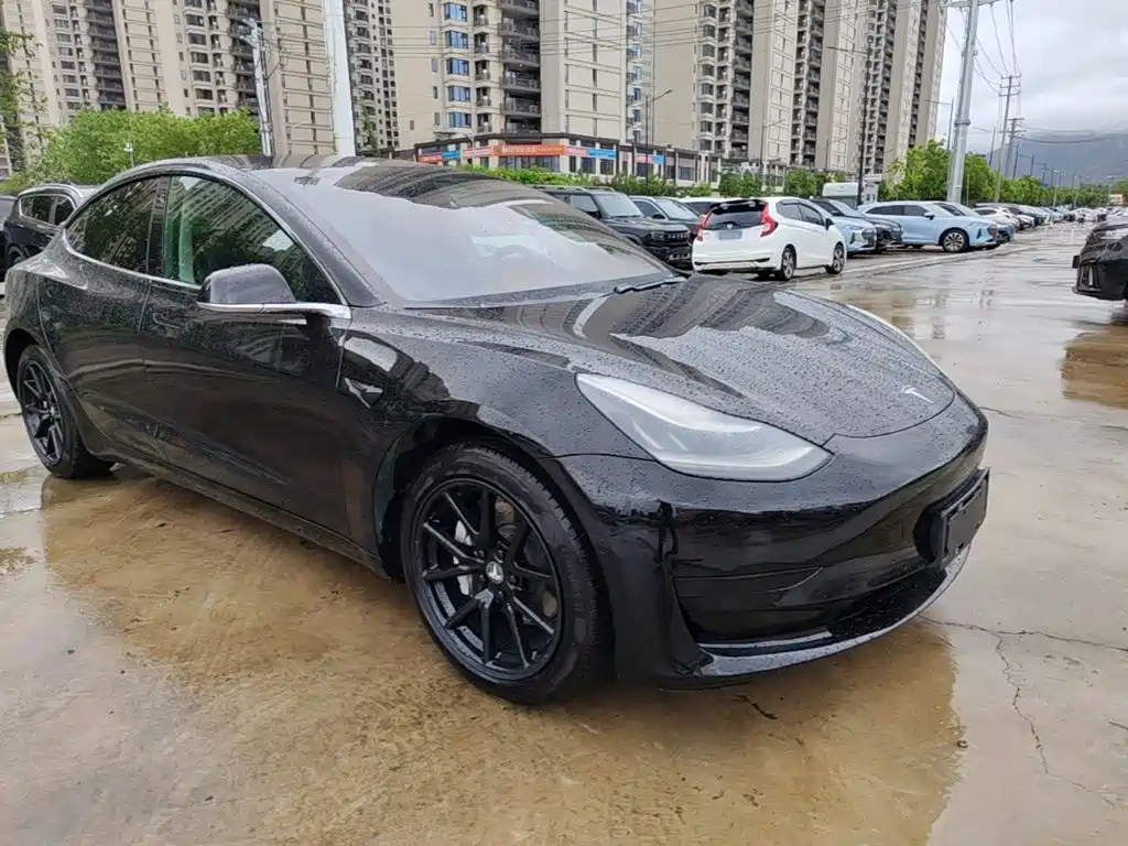 Tesla Model 3 — миниатюра 4