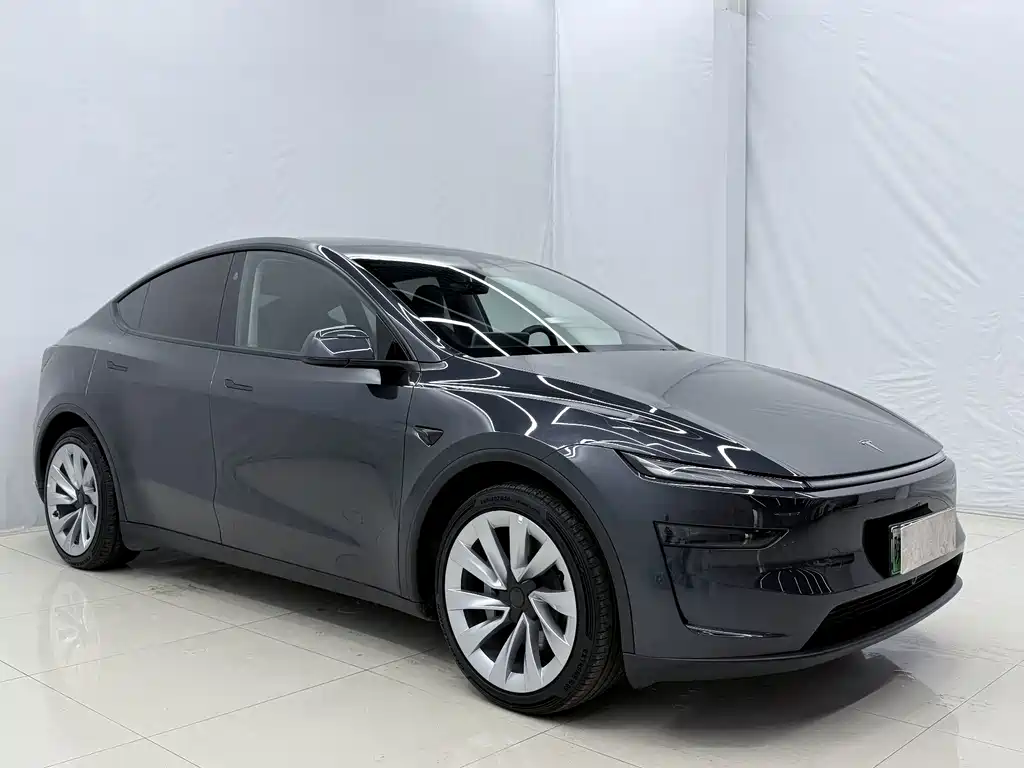 Tesla Model Y — миниатюра 3