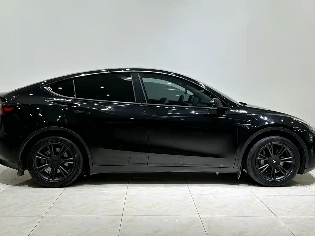 Tesla Model Y — миниатюра 4