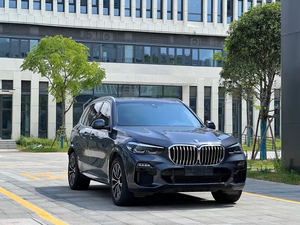 BMW X5 (Import) — миниатюра 3
