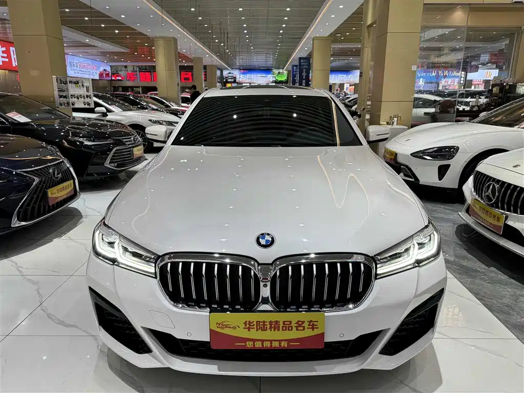 BMW 5 SERIES