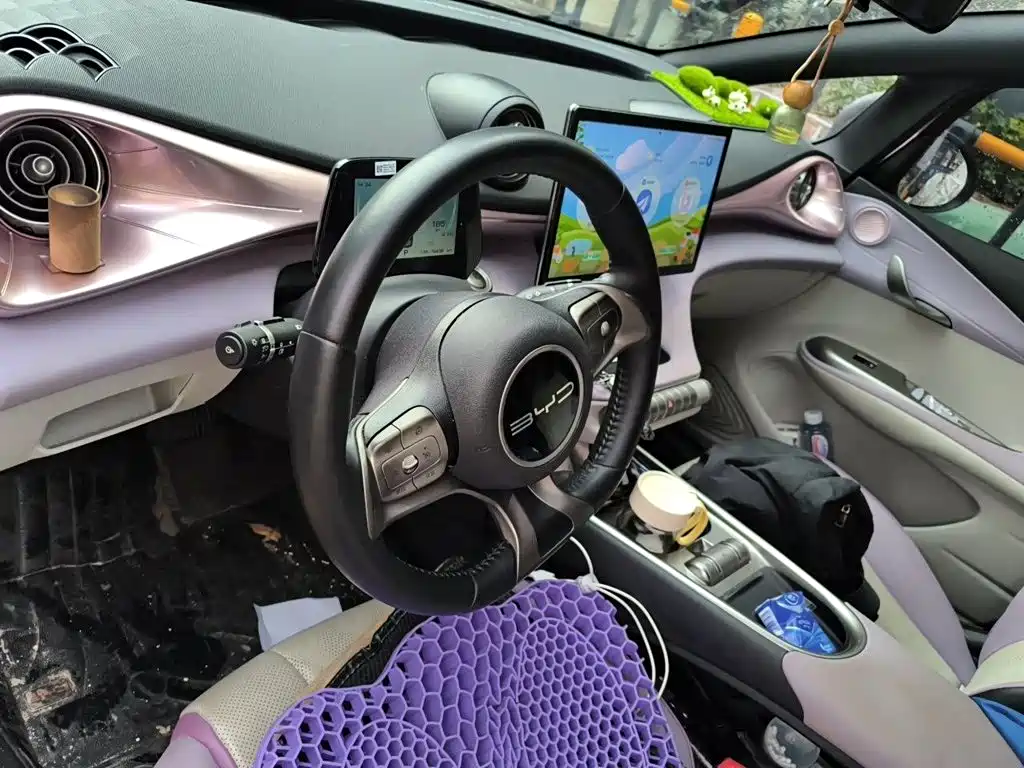 BYD Dolphin — миниатюра 6