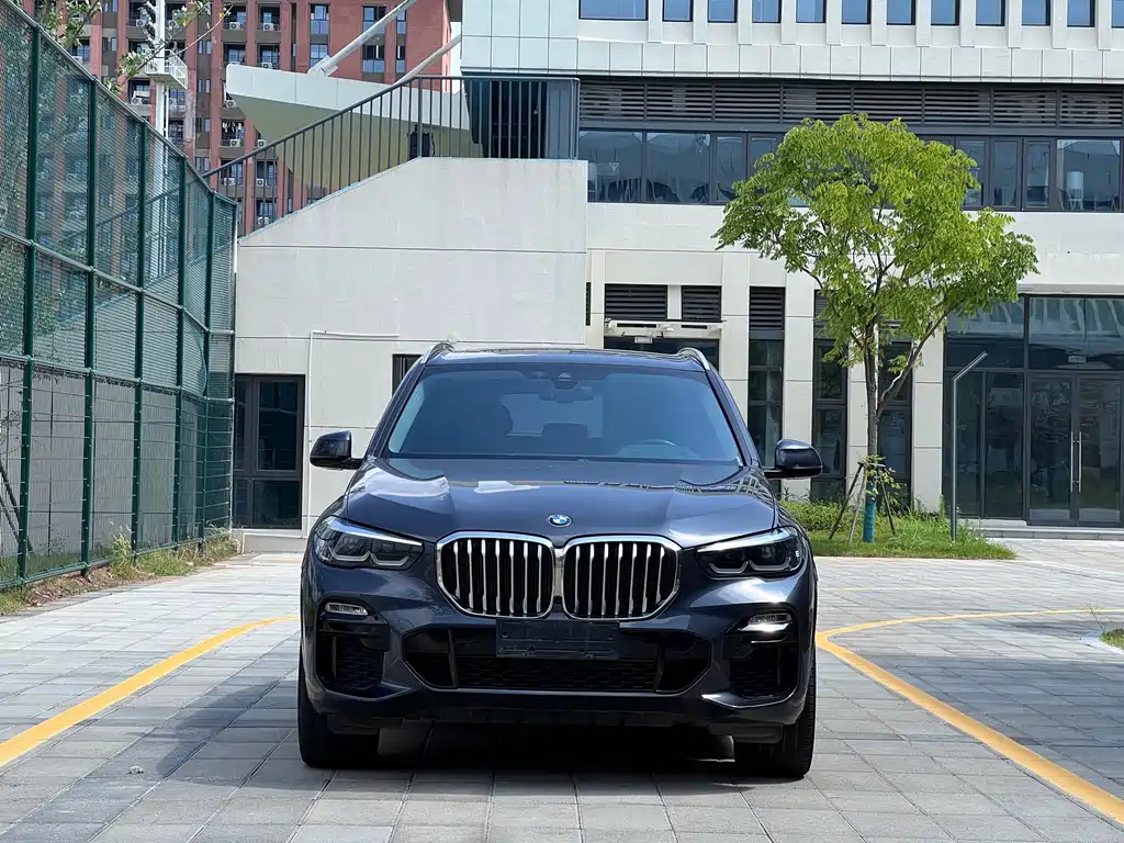 BMW X5 (Import) — миниатюра 2