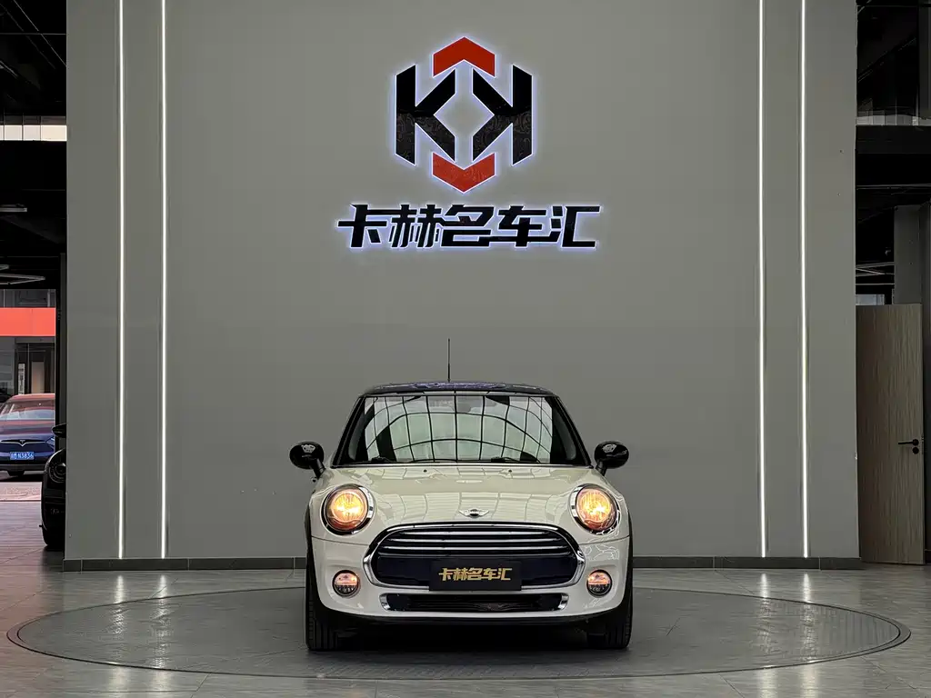 Mini Mini 2014