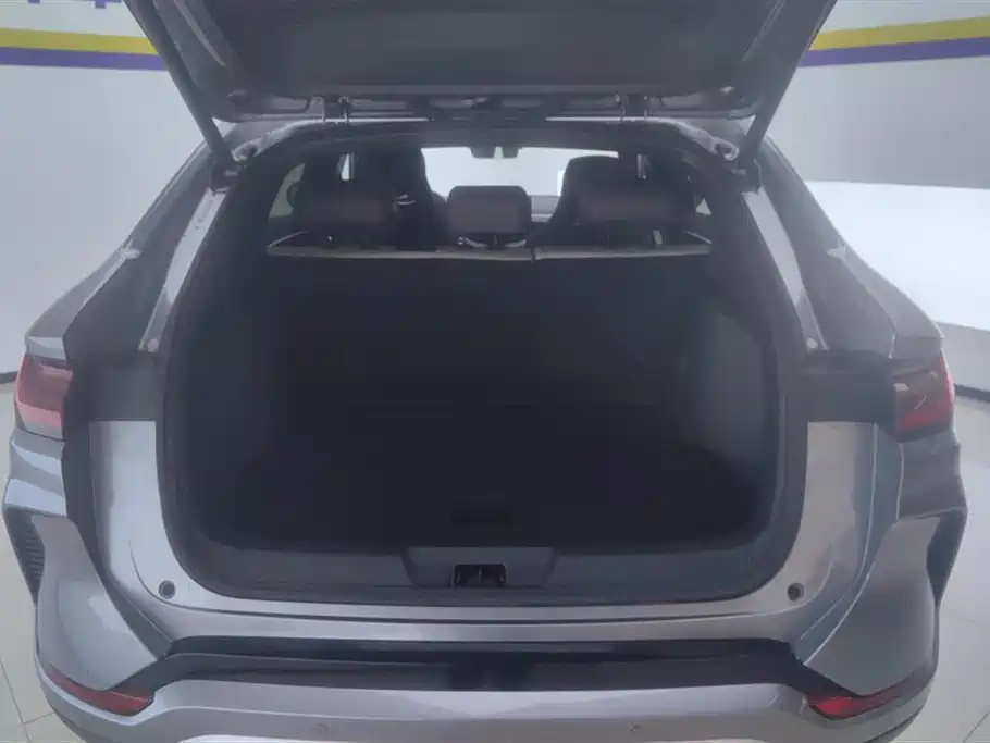 BYD SONGJIANG NEW ENERGY