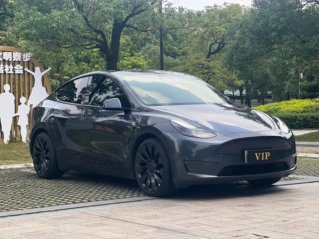 Tesla Model Y — фотографии объявления, Фото 6