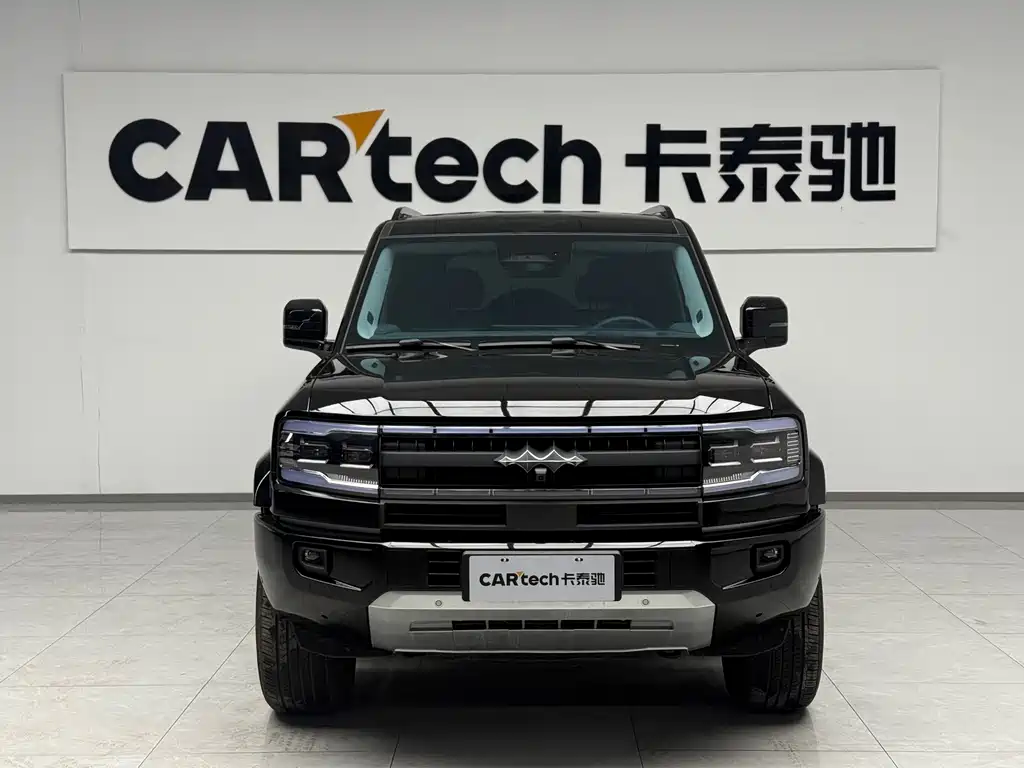 FANG CHENG BAO LEOPARD 5