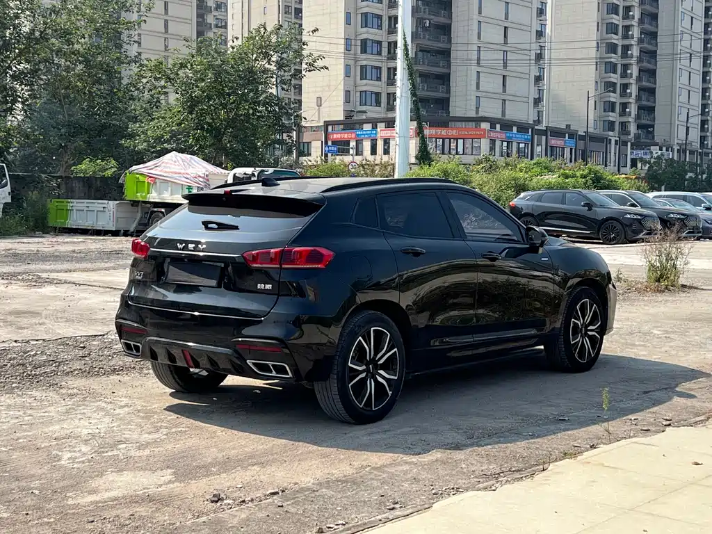 Wey Wey VV7 New Energy — миниатюра 14
