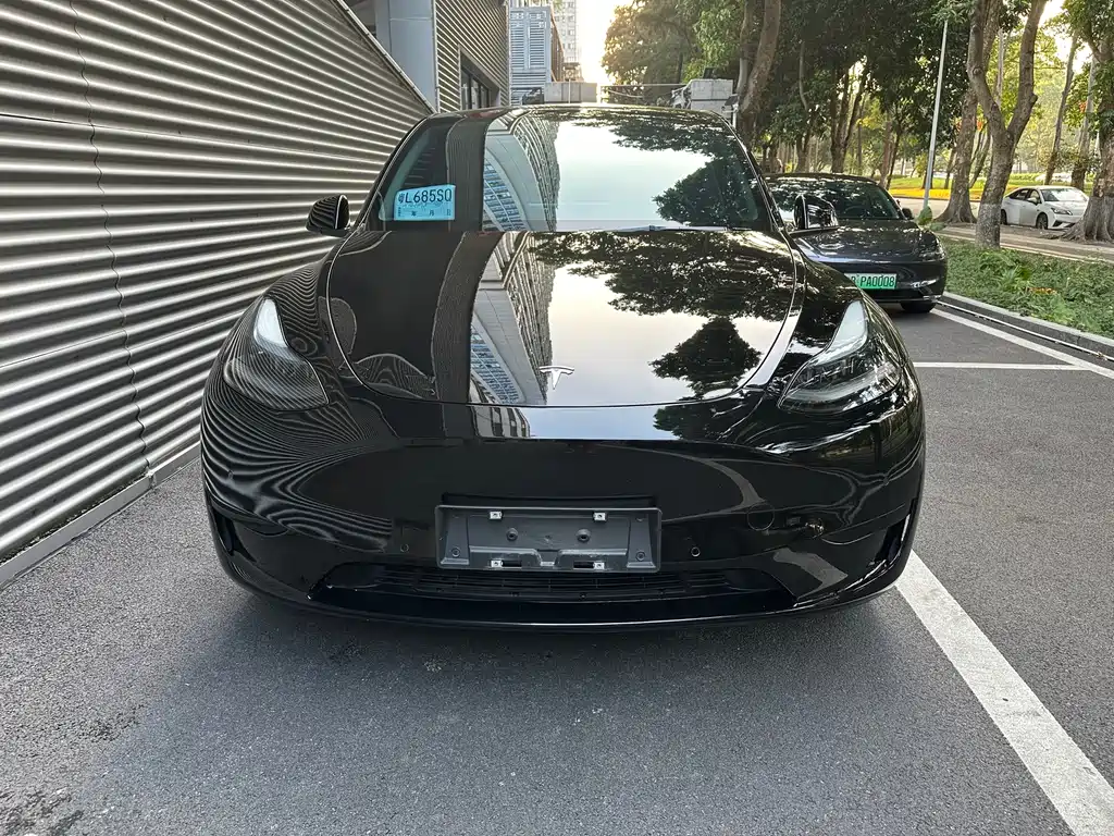 Tesla Model Y — миниатюра 2