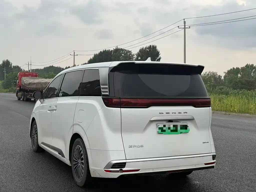 Denza Denza D9 — миниатюра 9