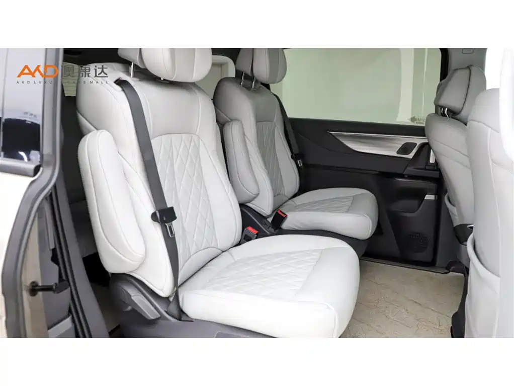 Buick GL8 — миниатюра 8