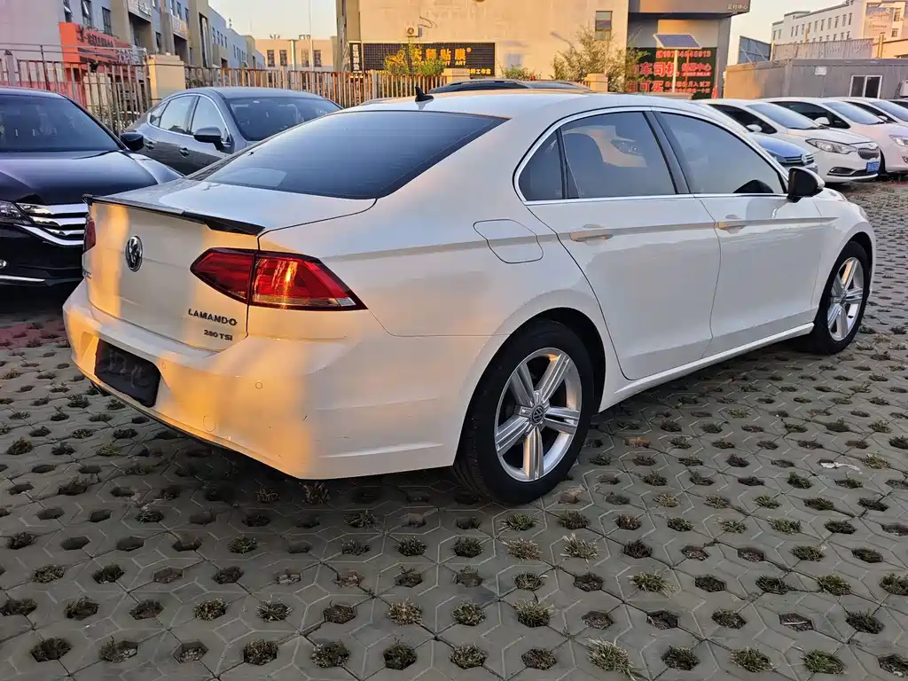Volkswagen Lamando — миниатюра 9