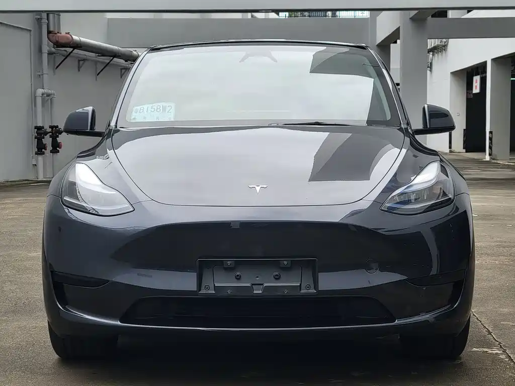 Tesla Model Y — миниатюра 2