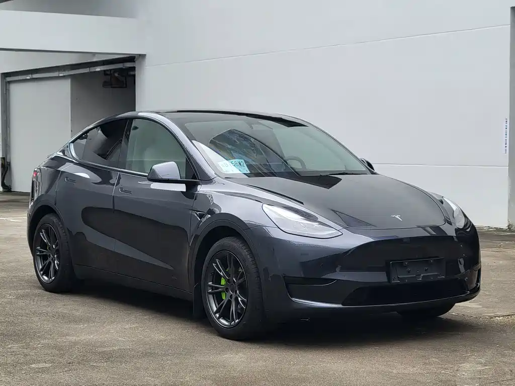 Tesla Model Y — миниатюра 3
