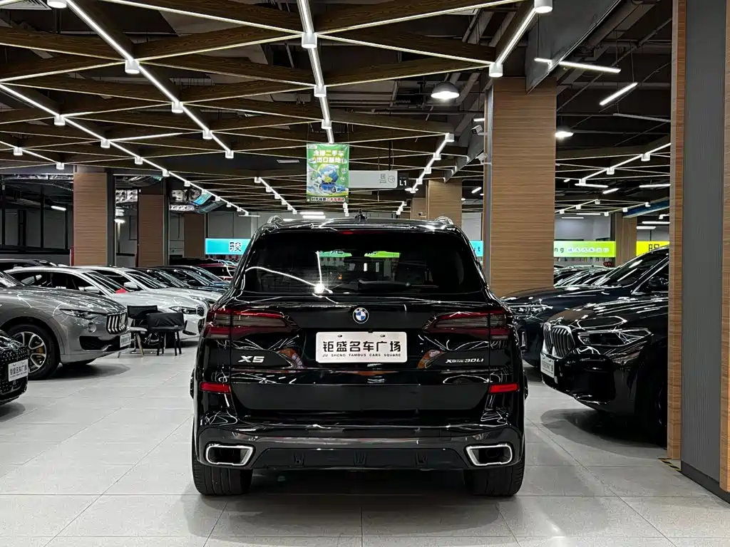 BMW X5 — миниатюра 6