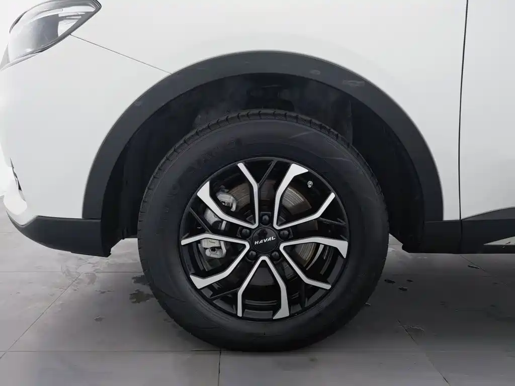 Haval H6 — миниатюра 17