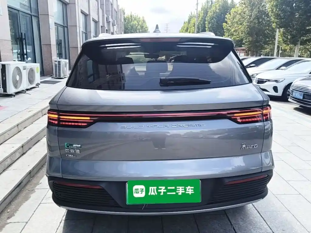 BYD Pro New Energy — миниатюра 6
