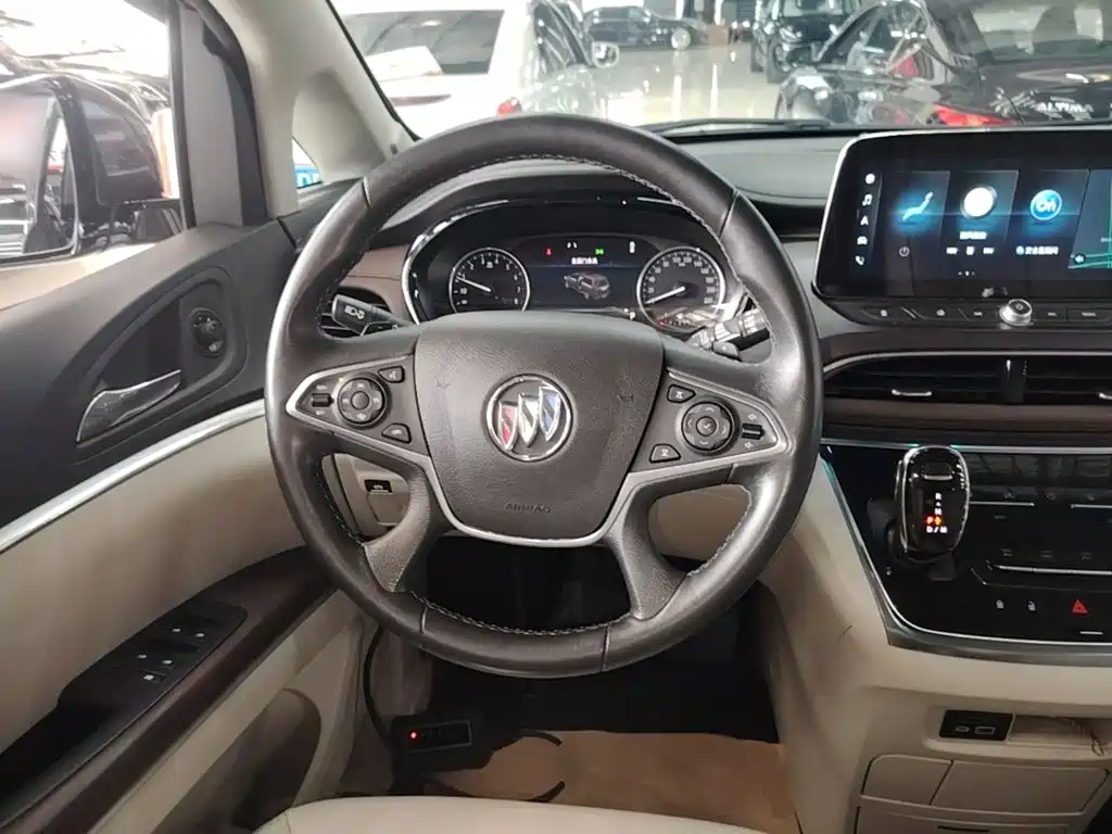 Buick GL8 — миниатюра 11