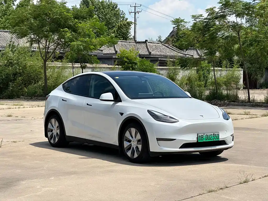 Tesla Model Y — миниатюра 3