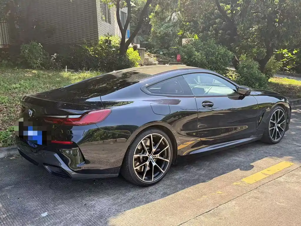 BMW 8 Series — миниатюра 7