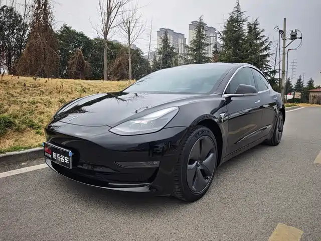 TESLA MODEL 3 2020