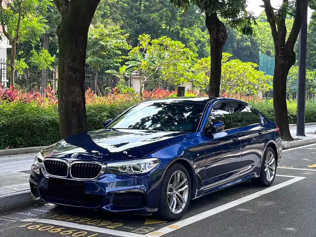 BMW 5 Series (Import)