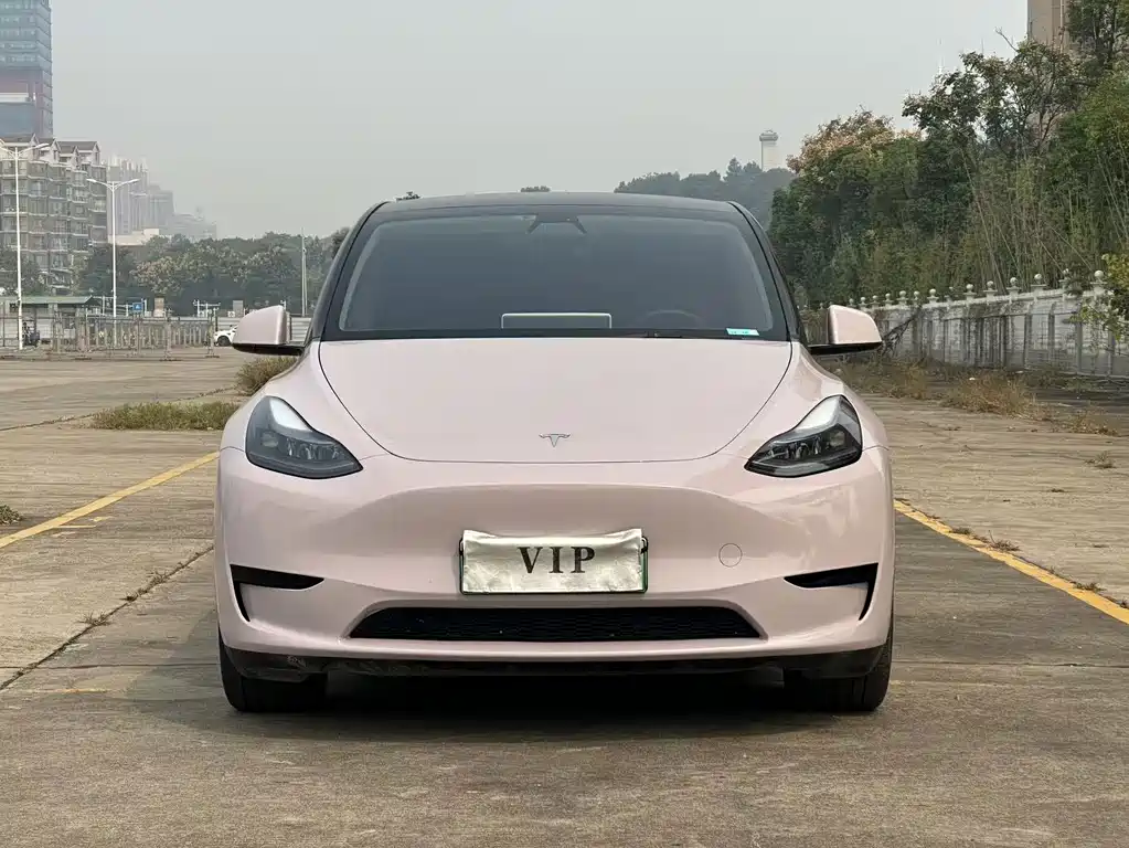 Tesla Model Y — миниатюра 2