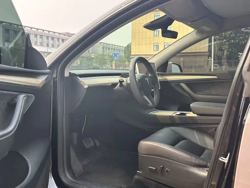 Tesla Model Y — миниатюра 6