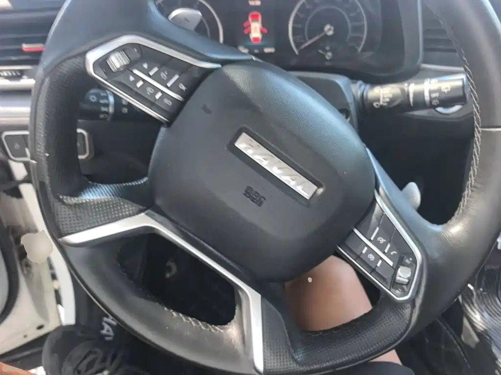 Haval H4 — миниатюра 11