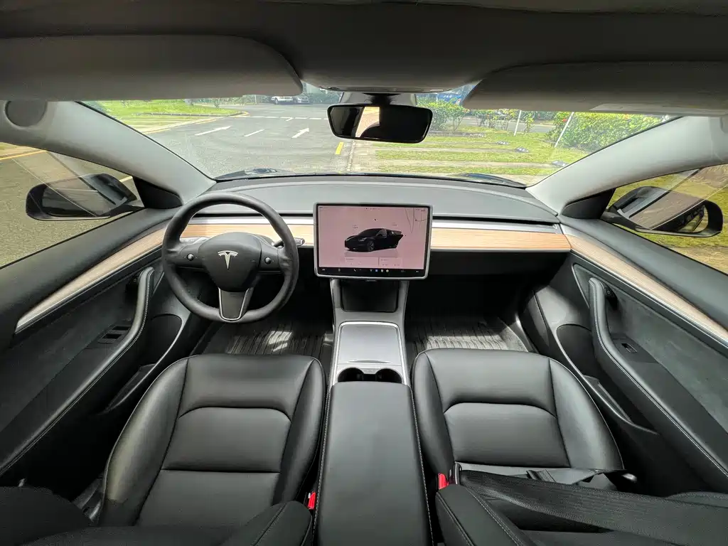 Tesla Model 3 — миниатюра 22