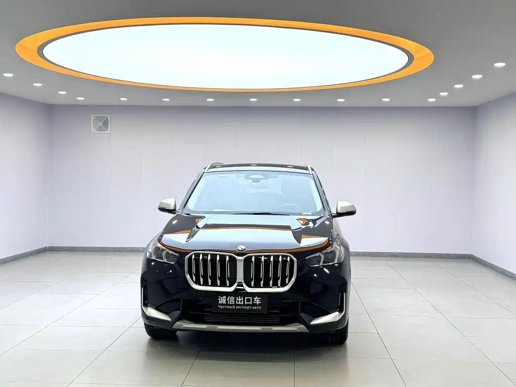 BMW X1 — миниатюра 2