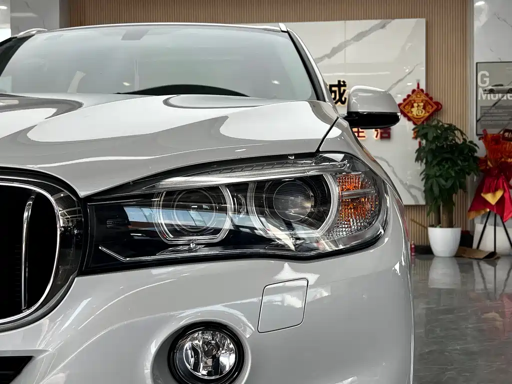 BMW X5 (Import) — миниатюра 9