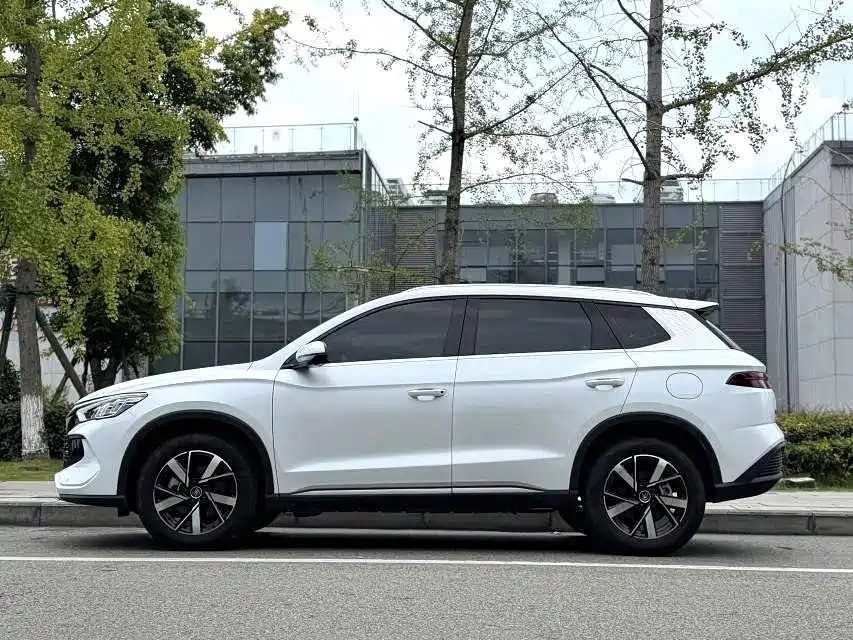 BYD Pro New Energy — миниатюра 12