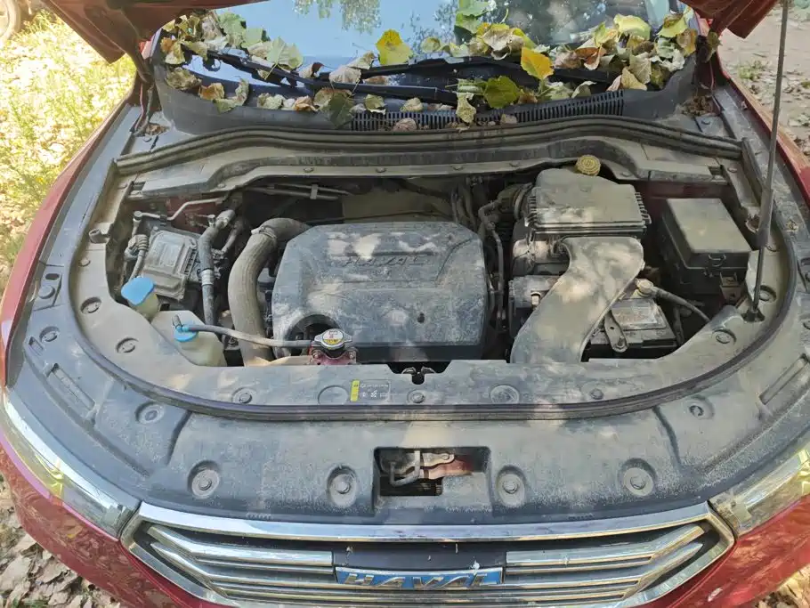Haval H2s — миниатюра 10
