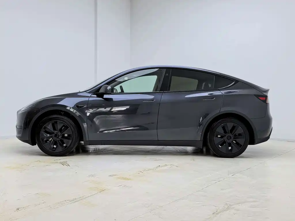 Tesla Model Y — миниатюра 5