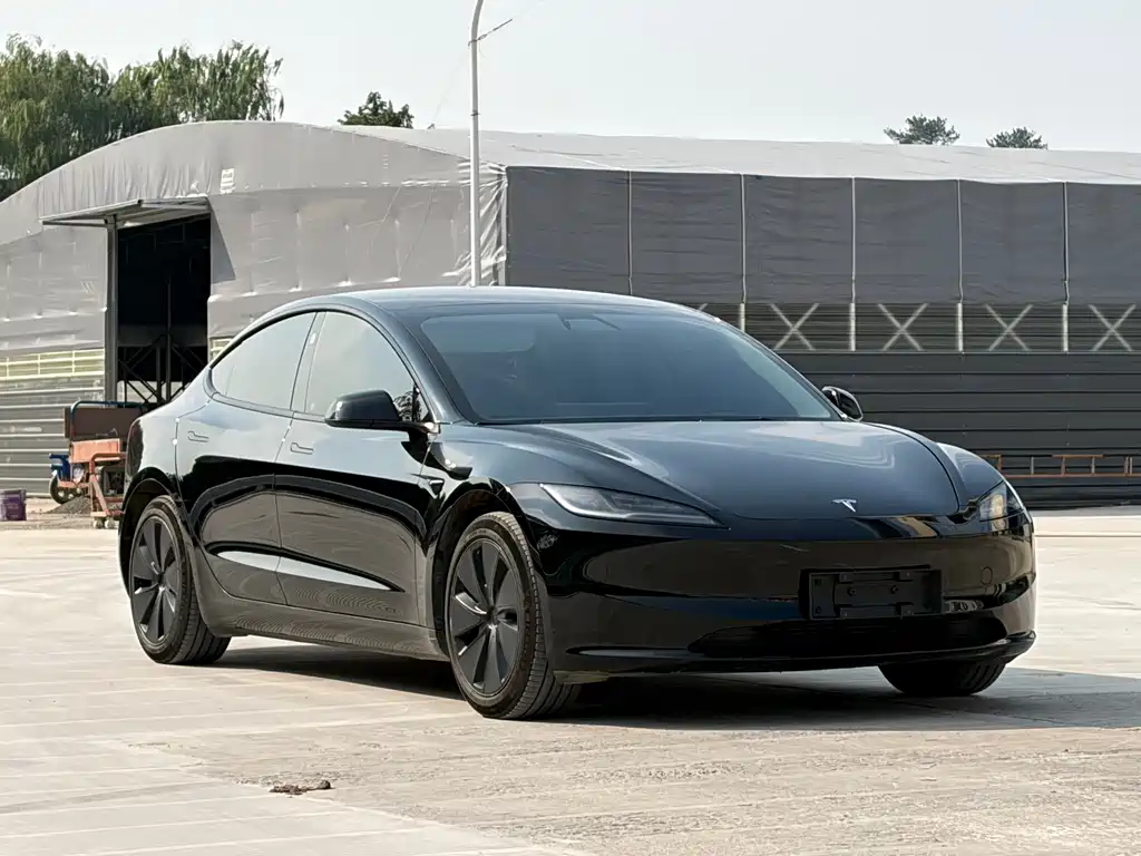 Tesla Model 3 — миниатюра 3