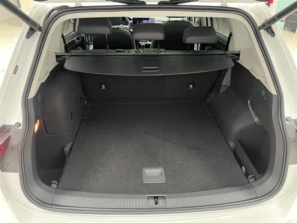 VOLKSWAGEN TIGUAN L NEW ENERGY