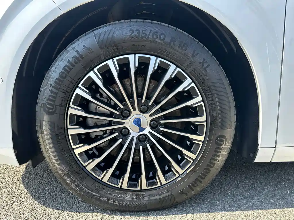 Denza Denza D9 — миниатюра 5