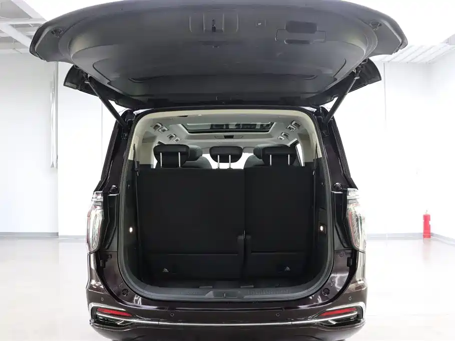 Hongqi HQ9 PHEV 2.0T 4WD Business Edition, фото 27