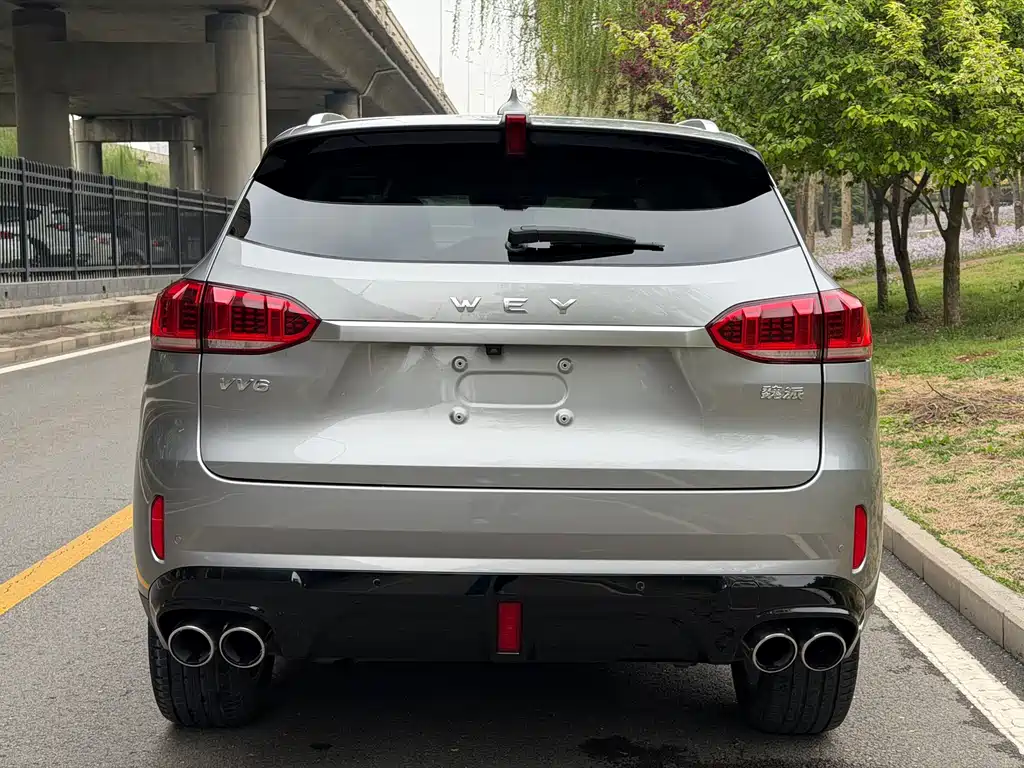 Wey Wey VV6 — миниатюра 18