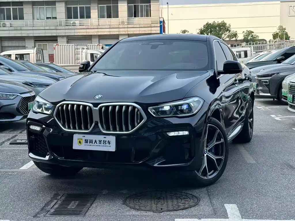 BMW X6