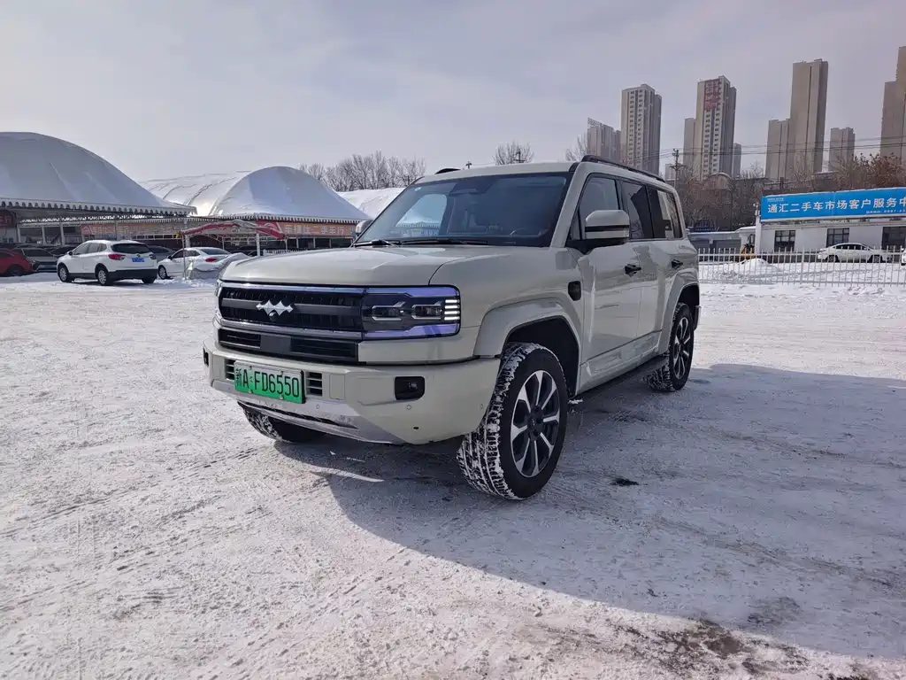 FANG CHENG BAO LEOPARD 5