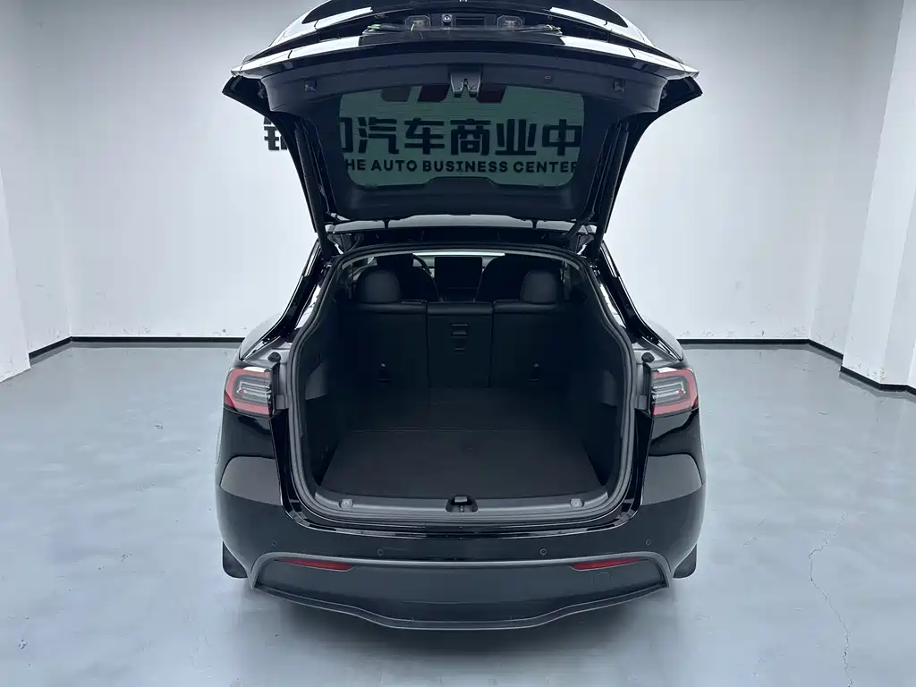 Tesla Model Y — миниатюра 10