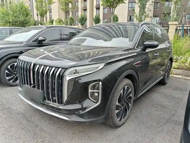 2024 Hongqi HS7